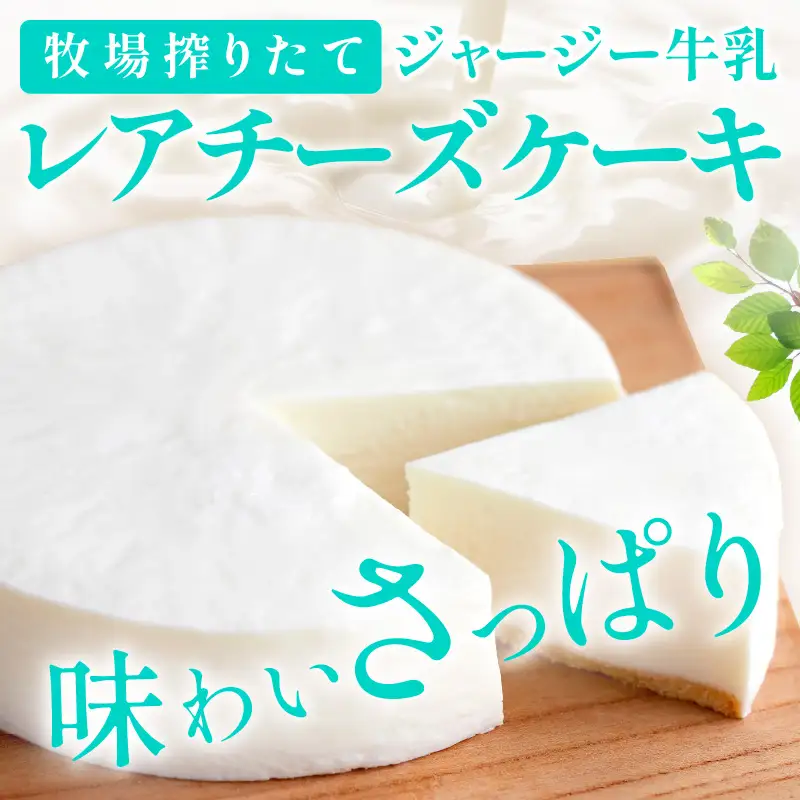 レアチーズケーキ 1個｜ケーキ