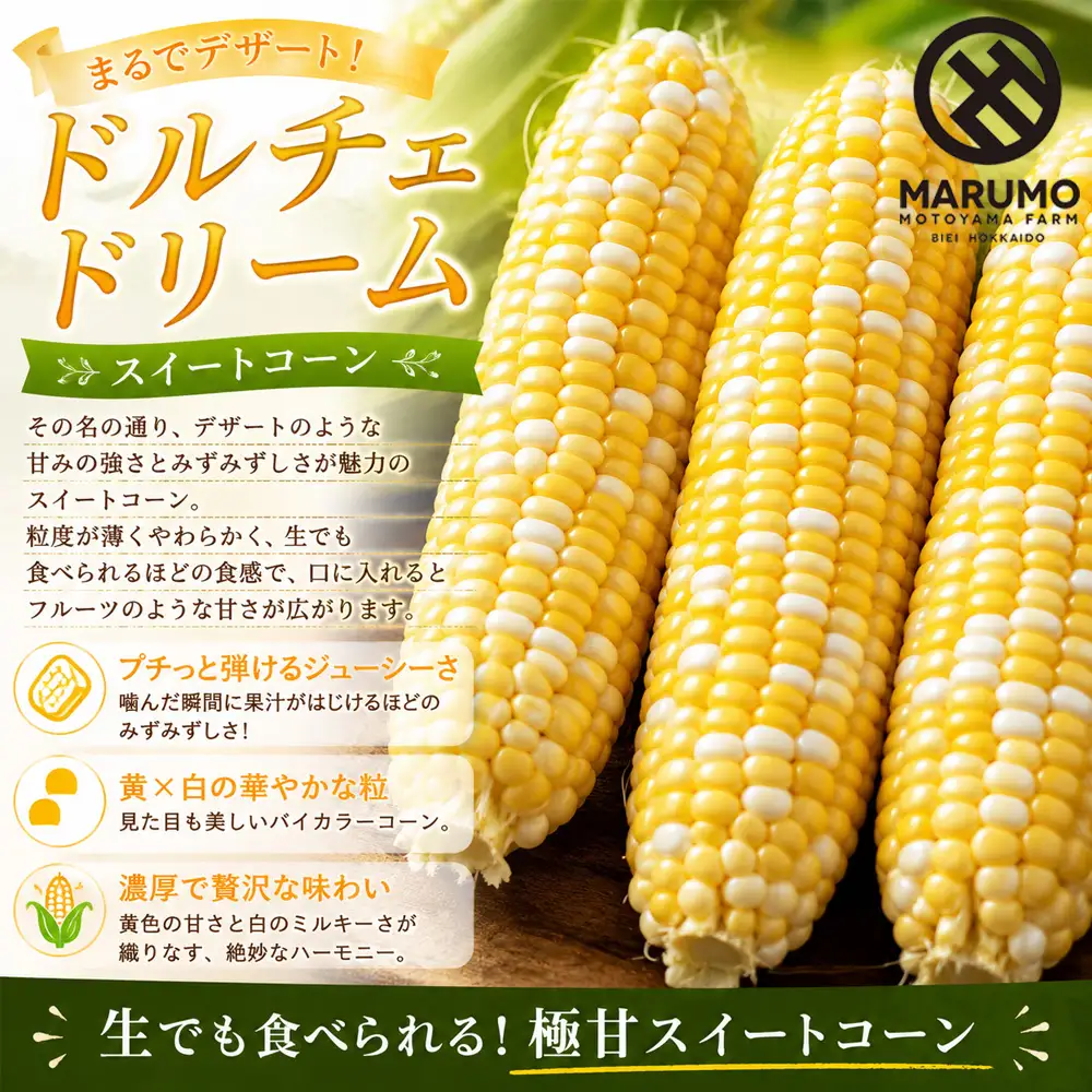 【令和8年産予約受付】とうもろこし ドルチェドリーム 10本 MARUMOスイートコーン 本山農場