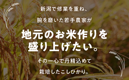 《令和8年産 新米》 こしひかり 5kg お米 11月発送
