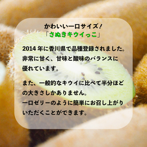 【11月上旬から12月下旬の間で順次発送】 一口サイズ！ さぬきキウイっこ 約2kg キウイ 【goshiki029】