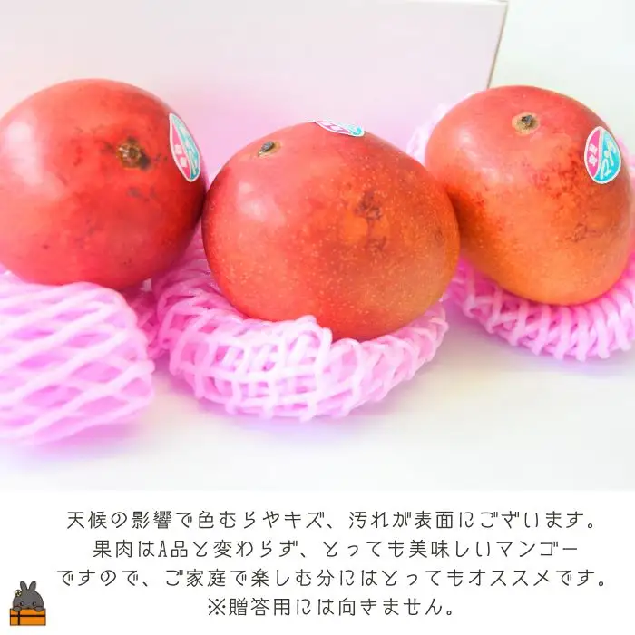 ≪今が旬！≫【家庭用】徳之島センチュリー果樹園さんの完熟マンゴー約2kg ( マンゴー フルーツ わけあり 訳あり 訳有 果物 徳之島 )