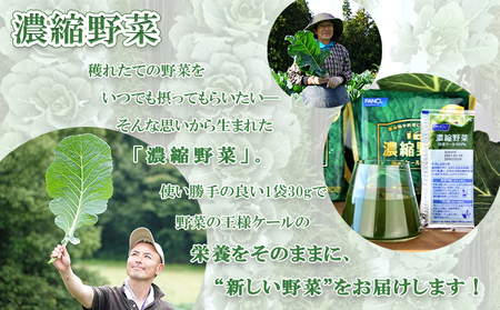 ＜ファンケル 西予市産 濃縮野菜 3回定期便＞ グリーンヒル 青汁 飲料 飲み物 お料理 小分け ケール 国産 新鮮 無添加 ミネラル農法 化学農薬不使用 FANCL 特産品 愛媛県 西予市【冷凍】『お申込み月の翌月より配送を開始』NGH0010