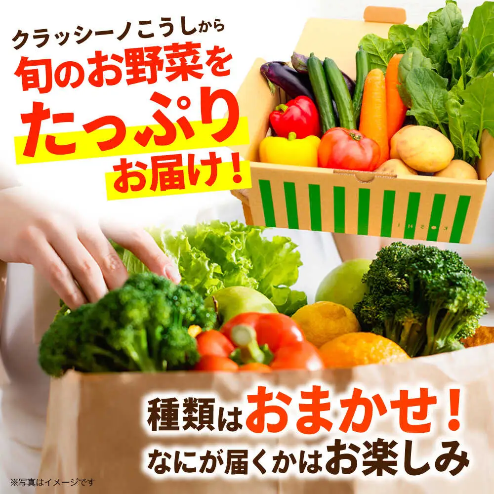 合志の旬のお野菜セット 15品から16品  野菜[AYAB112]