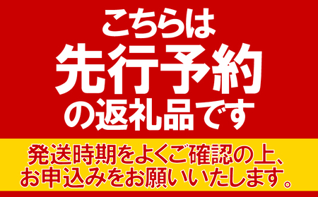 【先行予約】 とうもろこし 10本 とうもろこし