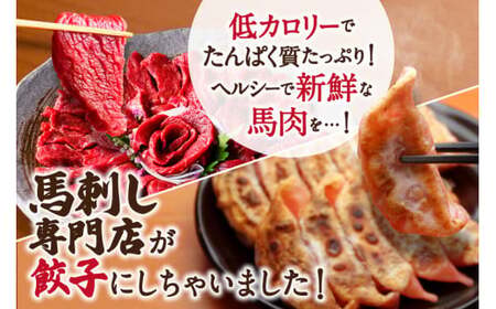 熊本 馬刺し 専門店のさくら馬肉 餃子 80個 国産 冷凍