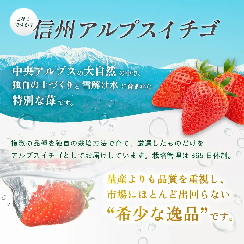 南信州産 冷凍 アルプス イチゴ 235g ～ 255g × 4袋 | 長野県 飯田市