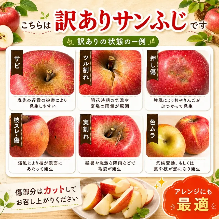 訳あり品 長野県産 サンふじ 約5kg ＜2027年1月上旬～2月上旬発送＞ | 長野県 飯田市
