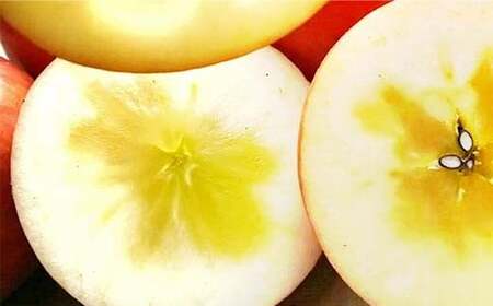 家庭用 有機農薬使用・完全無肥料栽培「サンふじ」葉とらずりんご約3kg（8～12玉） F7X-0874