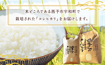 ＜令和7年産 西予市宇和町産 コシヒカリ 約5kg＞ お米 コメ こめ 白米 精米 単一原料米 ご飯 白飯 ごはん 穀物 コシヒカリ こしひかり 朝食 特産品 愛媛県産 西予市産 宇和町産 三好フク【常温】『1か月以内に順次出荷予定』UMH0016