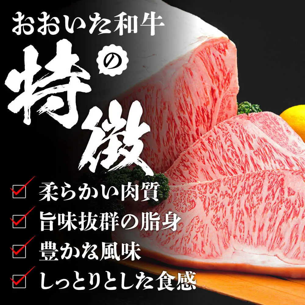 厳選 おおいた和牛100% 生ハンバーグ 160g×5個 日田市 おおいた和牛 牛肉 ハンバーグ [ARFE003]