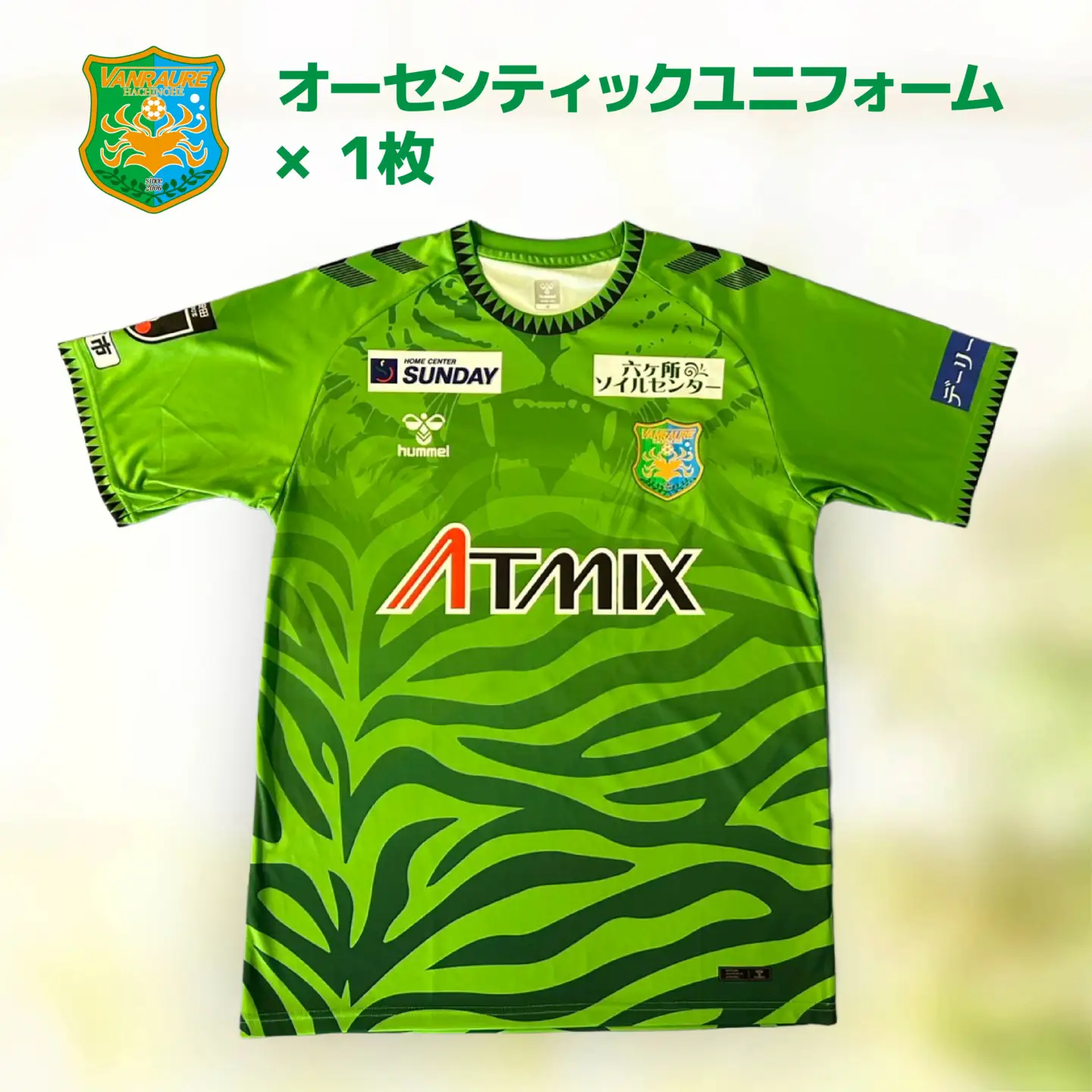 VANRAURE【Oサイズ】ヴァンラーレ八戸 応援グッズ 3点セット 青森県 八戸市