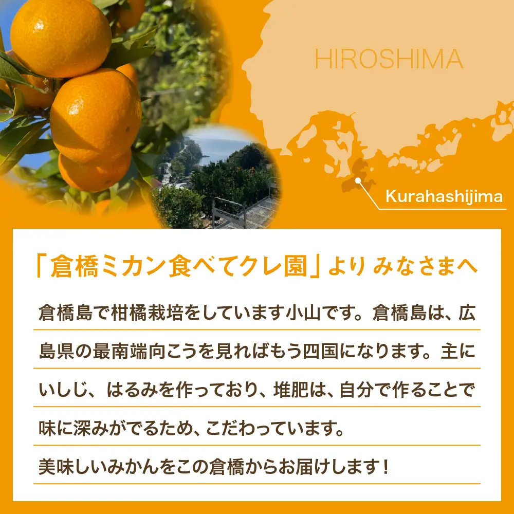 【先行受付】【2026年12月～発送】倉橋ミカン食べてクレ園 いしじみかん 約2.5kg