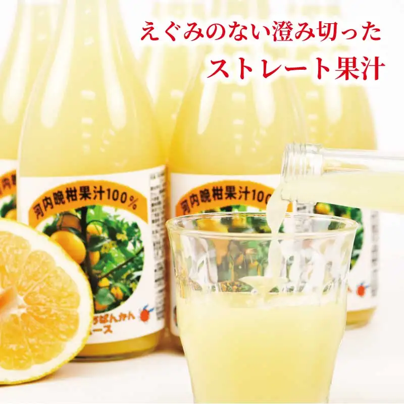 河内晩柑 ストレートジュース 720ml × 6本 陽だまりミカン みかんジュース みかん 蜜柑 mikan フルーツ ジュース 果汁 100% 焼酎割り ソーダ割り 家呑み 飲料 果物 くだもの 国産 愛媛 宇和島 H024-050009