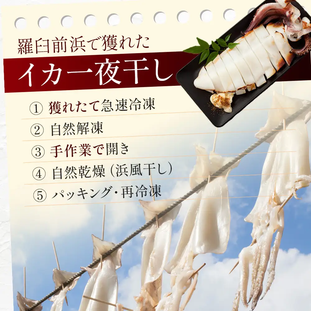 【数量限定】 羅臼産 イカの一夜干し 中サイズ 4尾（200g前後×4パック）｜イカ　北海道
