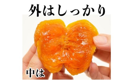 あんぽ柿 70g×10個