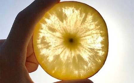 有機農薬使用・完全無肥料栽培「サン蜜こうとく」葉とらずりんご約5kg（16～20玉） F7X-0474
