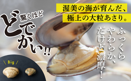 【先行予約】どでかい！垂下あさり 1.9kg 大 サイズ あさり ブランドあさり 浅利 ダシ 出汁 味噌汁 国産 アサリ 愛知県 田原市 新鮮 砂抜き 海鮮 魚介類 魚介 貝 人気 パスタ などに