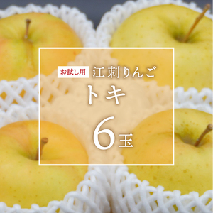 お試し用 江刺りんご 「トキ」 6個 【冷蔵】 [AQ091]