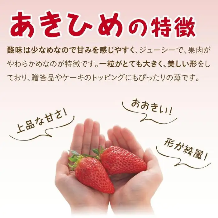 あきひめDX 500g 鳥取いちご【とみハウス】