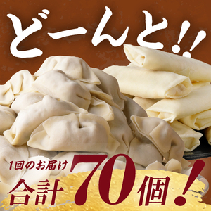 【6ヶ月定期便】一徹堂・冷凍生餃子(60個)＆生春巻き(10本)セット
