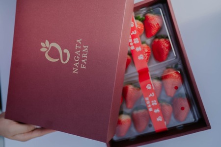 先行予約 化粧箱入り 宇城市産 あまおとめ 約600g（約300g×2パック）【NAGATA FARM】【2025年1月上旬～3月下旬発送予定】合計600g 果物 くだもの フルーツ 果実 苺 いちご イチゴ
