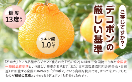 デコポン 約2kg 日本フルーツ株式会社 デコポン