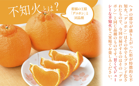 不知火 約3kg しらぬい 日本フルーツ株式会社 デコポン
