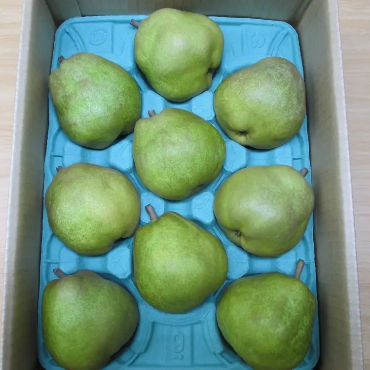 西洋梨（ラフランス）３ｋｇ　ご家庭用　0110-2602