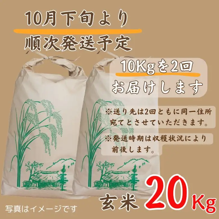 X1【 令和8年産 新米 受付開始 】しそうのおいしい お米　コシヒカリ 玄米 20kg　【 新米 米 こめ コメ コシヒカリ こしひかり 玄米 兵庫県産 宍粟市産 兵庫県 宍粟市 】
