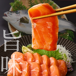 函館サーモン（450g） 刺身 新鮮 養殖 サーモン_HD231-018