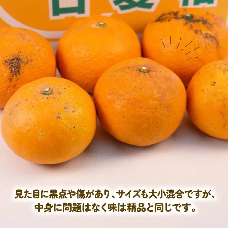 訳あり 甘夏 10kg まる玉農園 甘夏 B010-172005