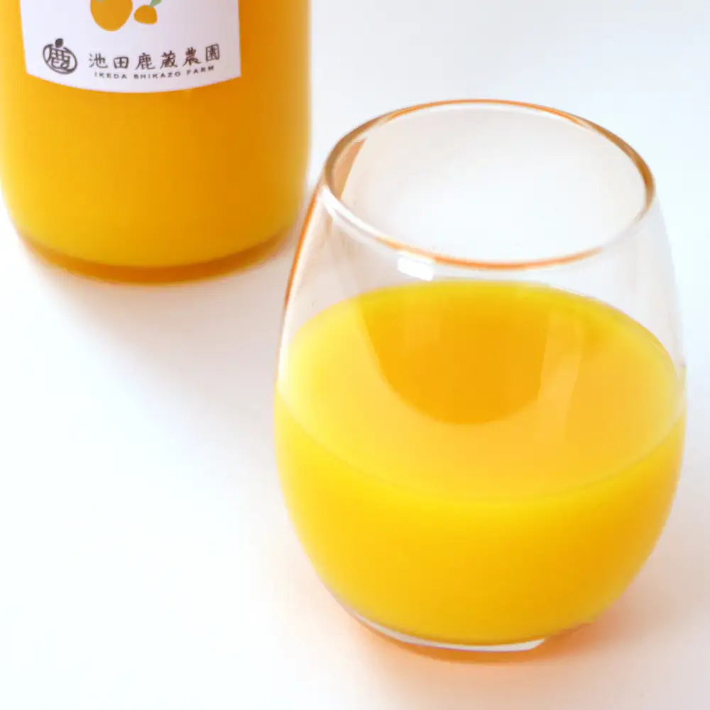 無添加甘夏ジュース 約720ml×3本［IKE267］