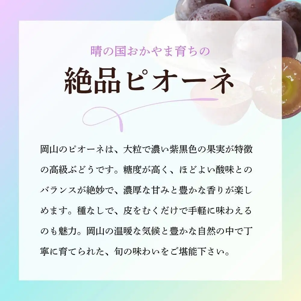 【期間限定】鏡野町産 ピオーネ 2kg（ご家庭用）【004-a029】