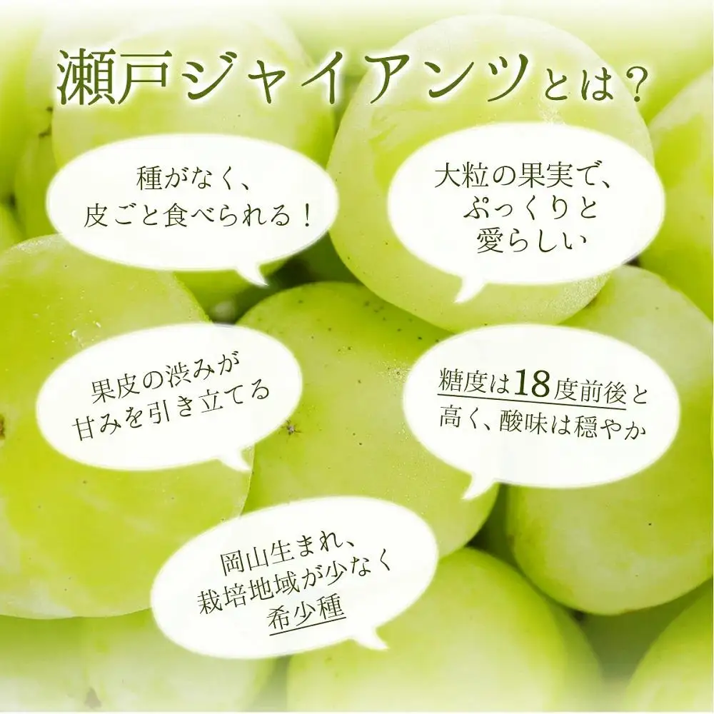 【期間限定】鏡野町産 瀬戸ジャイアンツ 2kg（ご家庭用）【004-a028】