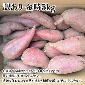 【先行予約】【10月中旬以降より順次発送】訳アリ 茨城県産金時 約5kg｜さつまいも 芋 サツマイモ 金時 訳あり わけあり 茨城県 取手市（AS010-1）