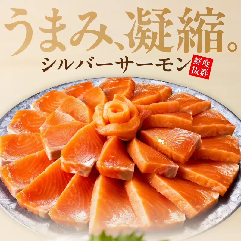 サーモン 定期便 1kg×全6回
