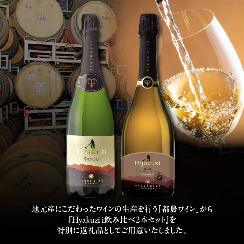 Hyakuzi飲み比べ2本セット 酒 飲料 アルコール 国産_T014-0367