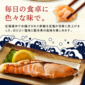 えりも【マルデン特製】北海道産定塩鮭切り身 10切【er002-101】鮭 秋鮭 塩鮭 白鮭 ブランド魚 個包装 北海道産 魚介 焼き魚 ムニエル 切身 大容量 真空パック 海鮮 海産物 冷凍 えりも町