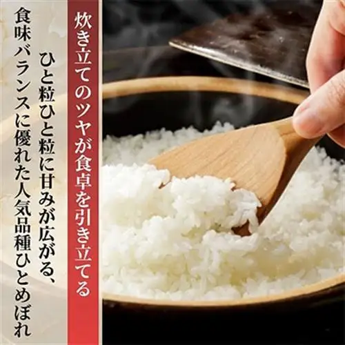 【数量限定・訳あり】令和7年産福島県小野町産ひとめぼれ10kg(5kg×2袋)福島県の美味しいお米【1629174】