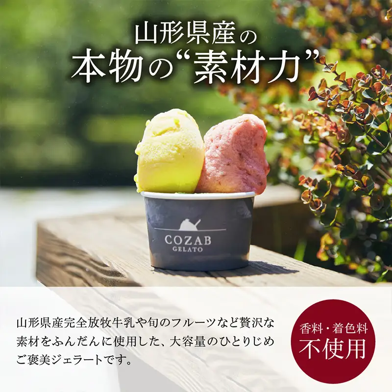 COZAB GELATO 訳あり 大容量 ひとりじめサイズ 2個セット アイスクリーム アイス ジェラート 山形県 山形市 FY25-276
