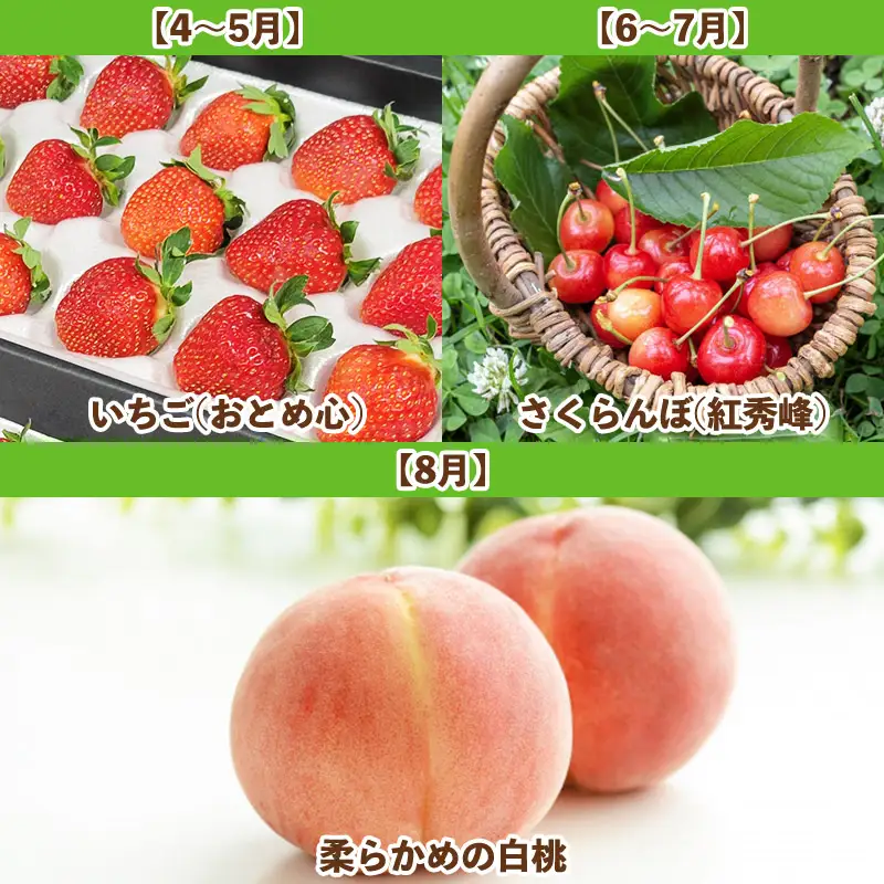 【定期便5回】山形人気果実ベスト５ FZ25-284