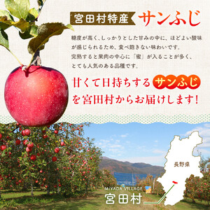サンふじリンゴ （１０ｋｇ）（予約制）( サンふじ  林檎 )
