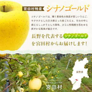 季節のりんご『 シナノゴールド 』（５ｋｇ）（予約制）（ シナノゴールド  林檎 ）