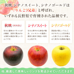 季節のりんご 『お任せコース』（５ｋｇ）（予約制）（りんご 林檎 ）