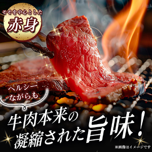 焼肉 宮崎牛特選赤身 400g  宮崎牛 