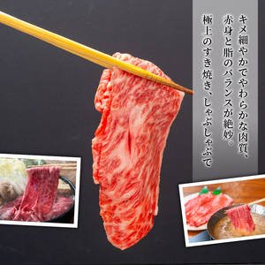 国産うなぎ蒲焼き 土佐あかうし  6回定期便 すき焼き お肉 魚  蒲焼 土佐あかうし かばやき  ステーキ  定期便うなぎ 高知県 安田町  TM-01