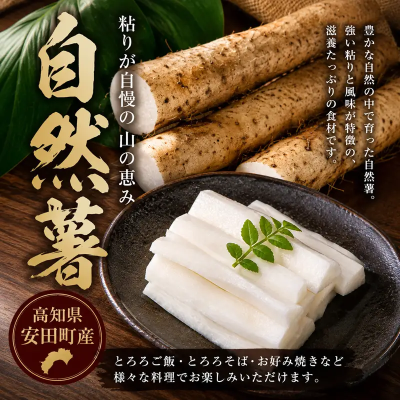 安田町産 自然薯1.5kg 自然薯 とろろ JN-05