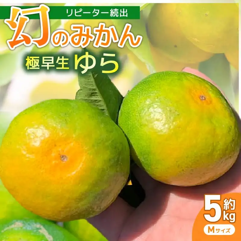 【10月中旬より発送】 服部農園 ゆら早生 みかん 5kg Mサイズ みかん 産地直送 HT-03