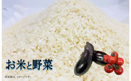 新米 ヒノヒカリ 5kg 野菜 詰め合わせ 1-2品 TR-02