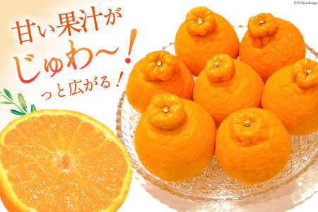 【期間限定発送】じゅわーっと甘い 不知火 約3kg（ハウス栽培・化粧箱入り）